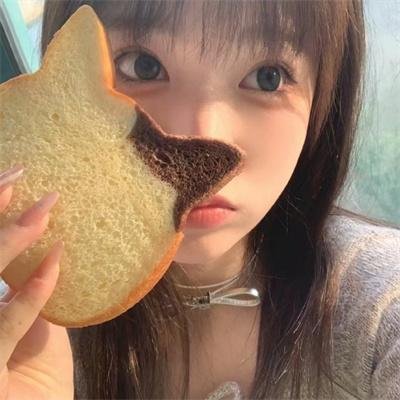 纽约爱音鳄