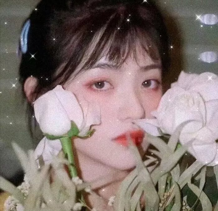 黑蝶漫舞